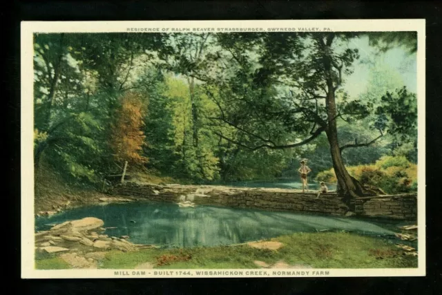 Pennsylvania PA postcard Gwynedd Valley, Strassburger Normandy Farms Phostint