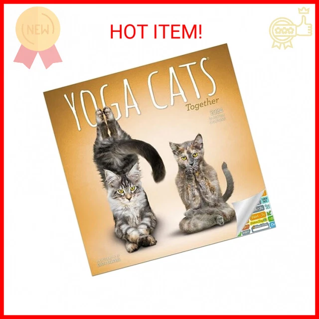 YOGA CATS TOGETHER Calendar 2024 Deluxe 2024 Yoga Cats Wall Calendar