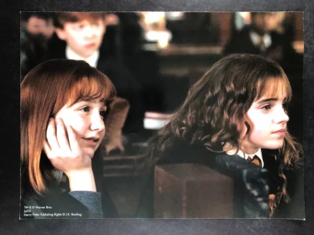 Hermione Granger Harry Potter and the Chamber of Secrets Movie Mini Poster 9x12