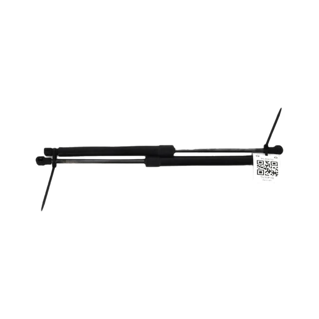 Set Di 2 Ganci Per Mensole Bagagliaio Auto, In Materiale Resistente, Montaggio Rapido, Compatibili Con Renault Clio, Megane, Laguna, R21, R25 E Modelli Simili