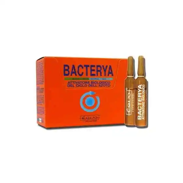 EQUO Bacterya 5ml - 6 ampoules