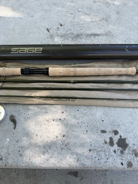 SAGE ONE 3110ー4 スイッチ（2021 Spey Write-ups from George