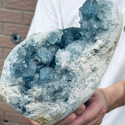 6.82LB  natural blue celestite geode quartz crystal mineral specimen healing MA