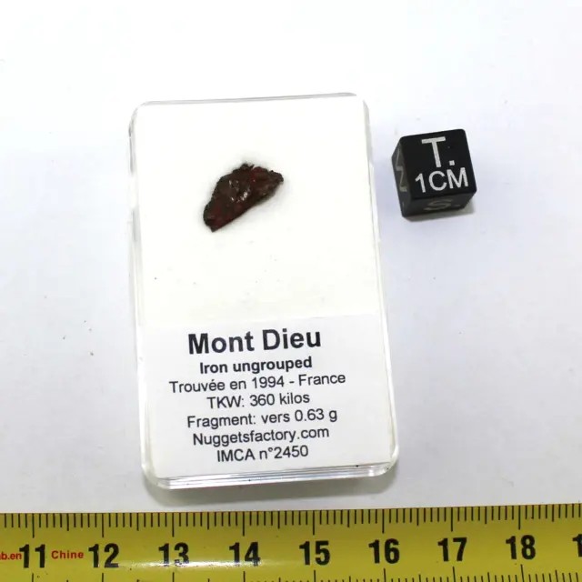 Meteorite Monte Dieu Nel Una Scatola - Iron Ungrouped (0.63 Grs - 003)