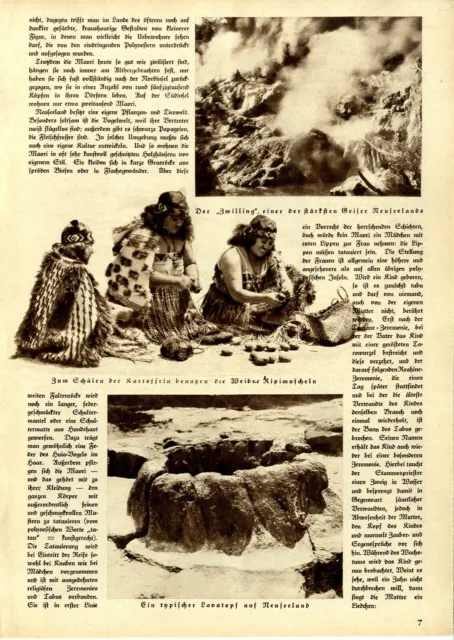 Walter Boje Die Maorie Ein Kulturvolk in der Südsee Tatauieren e. Maorifrau 1932 2