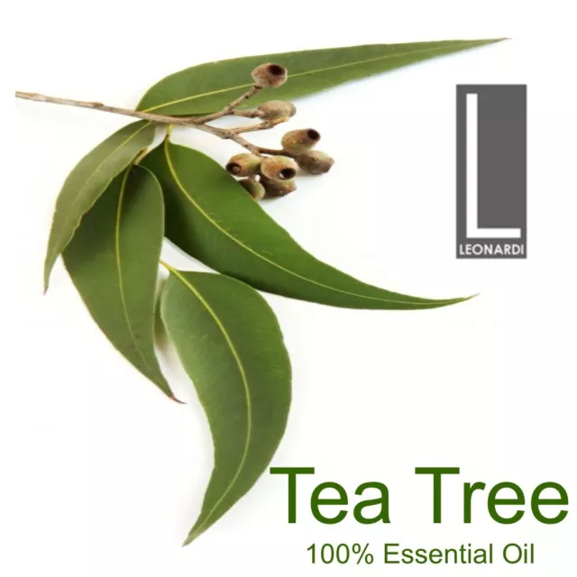 Tea Tree Essential Oils - Australian 10ml, 50ml, 100ml, 500ml, 1 Litre 2