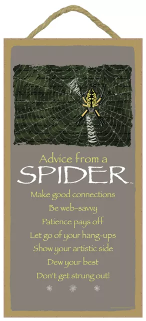 Advice from a Spider Inspirational Wood Nature Insect Sign Plaque Made in USA 2