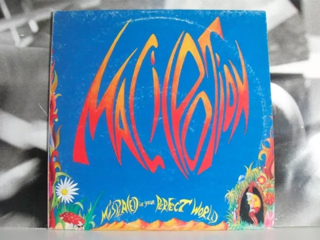 Magic Potion - Misplaced IN Your Perfect World - LP VG Near Menthe Italian Psych