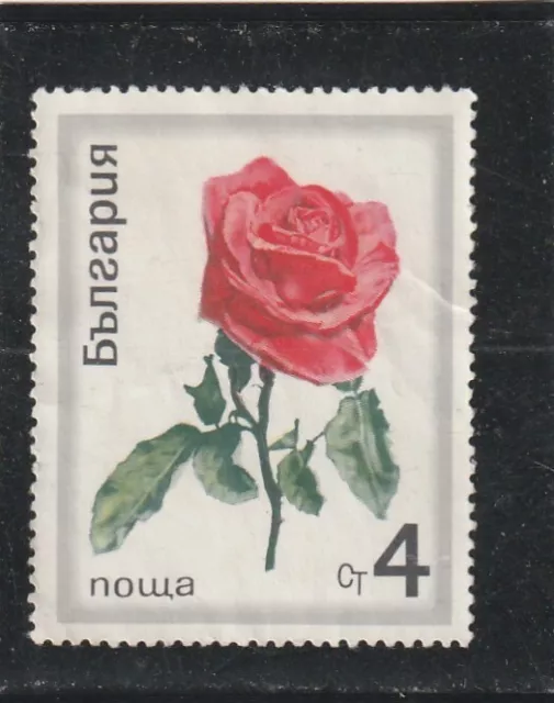 L5906 BULGARIE TIMBRE Y&T N° 1781 de 1970 " Roses diverses " Oblitéré