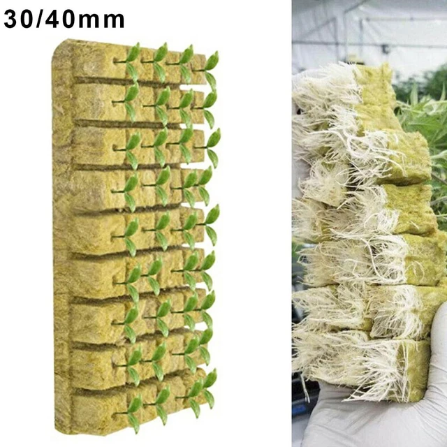 Rock Wool Block Soilless Cultivation 50Pcs Accessories Cubes Hydroponic