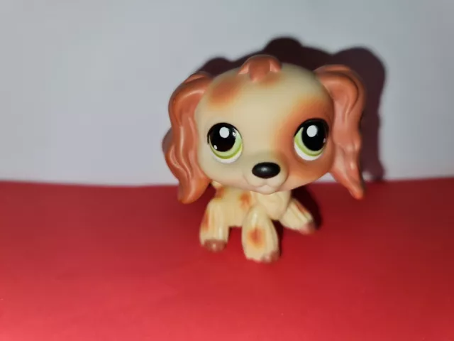 Littlest Pet Shop Authentic LPS No # Number Puzzle Cocker Spaniel Dog Red Tan