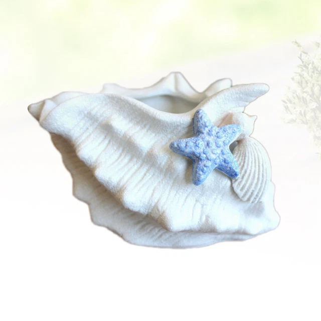 1PC Conch Design Pflanzer Fenster Topf Dekorative Sukkulenten Töpfe