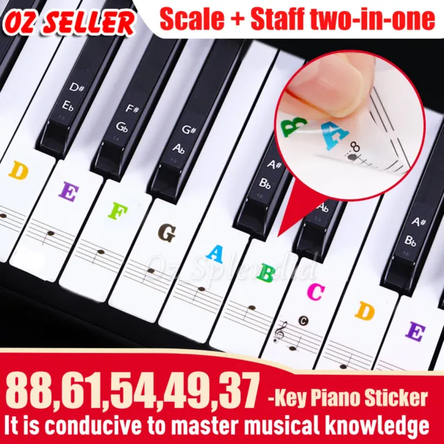 Universal Piano learner Sticker 37/49/54/61/88 Key Note Music Keyboard Stickers
