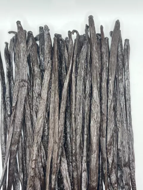 VANILLA BEANS (PLANIFOLIA) GRADE AAA, 100 grams, 18cm+ Gourmet Quality
