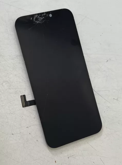 Mini display OLED originale Apple iPhone 12 difettoso senza funzione rottura vetro