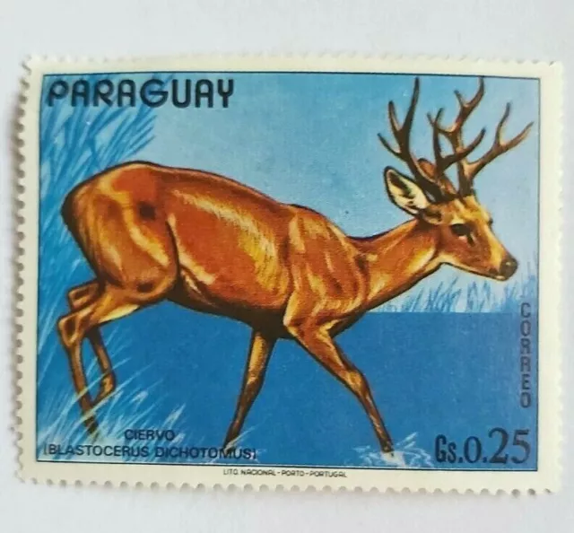 1972 Paraguay Ciervo Blastocerus dichotomus Stamp South America wild life animal