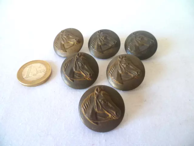 6 ANCIENS BOUTONS DE CHASSE VENERIE TÊTE DE CHEVAL LAITON SERTI 25mm (D)