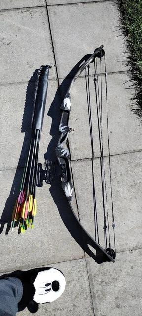 ARMEX COMPOUND BOW for Archery 55lb Draw Weight £73.48 - PicClick UK