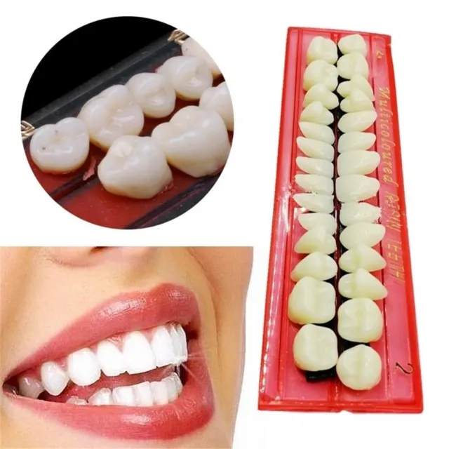 Crown Lower Anterior Resin Acrylic Teeth Veneers Tooth Tool Simulation Teeth