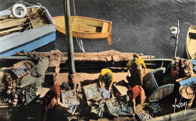 CPSM QUIBERON Retour de pêche à la Sarrdine (143434)