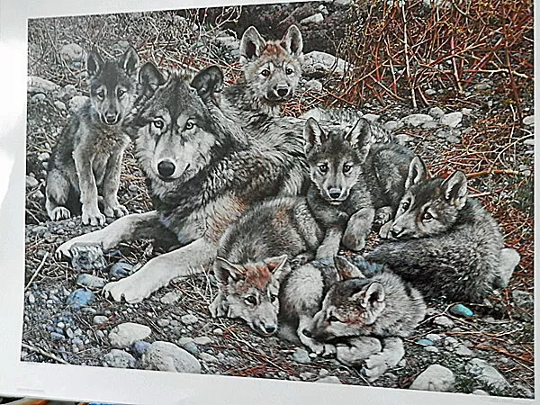 Carl Brenders Den Mother Wolf Family Limited Edition Signed Numbered Print