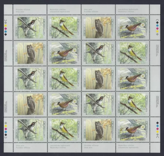 Canada - Sheet Of 20 Stamps  - Vfnh - Scott 1710-13 - Birds Of Canada - 3 - 1998