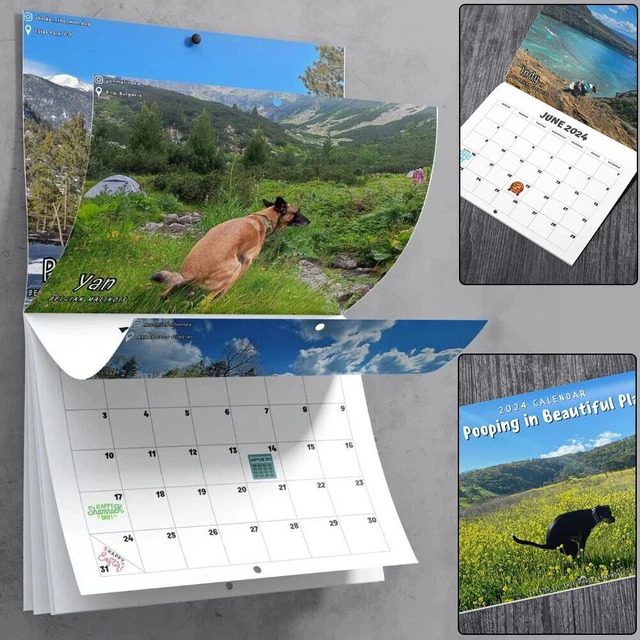 DOGS POOPING IN Beautiful Places 2024 Calendar Funny Christmas Holiday