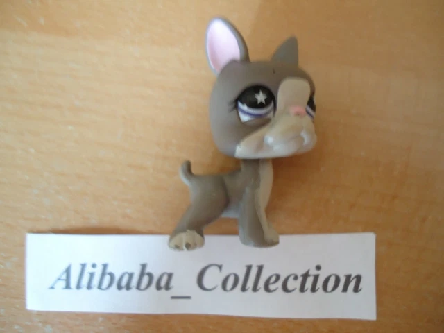LPS #817 LITTLEST Petshop Original Authentique Chien Argentin