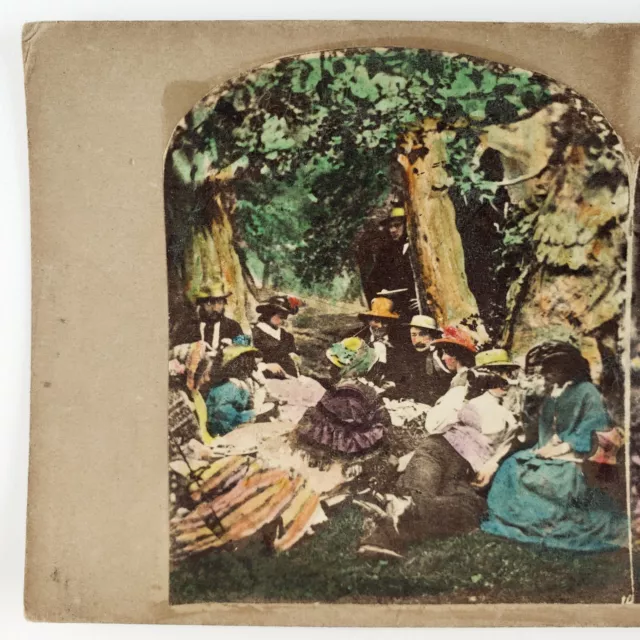 Tinted Forest Picnic Group Stereoview c1855 Men Women Trees Antique Photo A2363