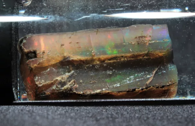 37 ct precious opal replaced petrified wood from virgin valley, nevada