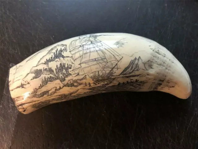 "STEAMER THRASHER"  historic Sperm whale tooth scrimshaw reproduction