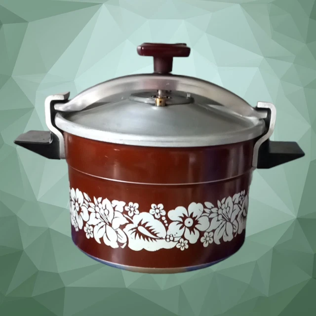 RARE cocotte minute SEB 8 litres décor rare vintage 01/1981