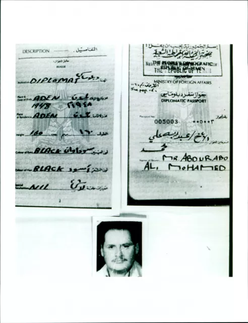 Diplomatic Passport - Vintage Photograph 3006586