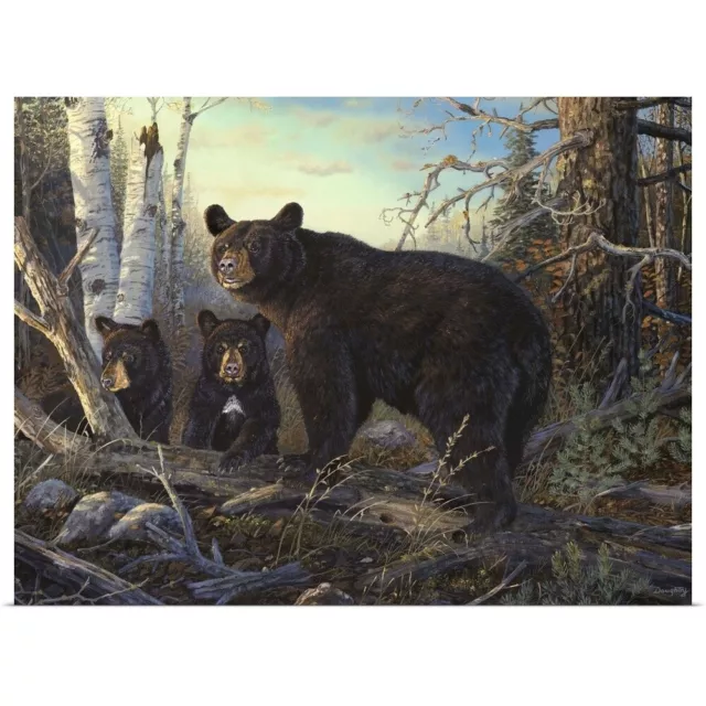 Absolutely Wild Black Bear Poster Art Print, Bear Home Decor