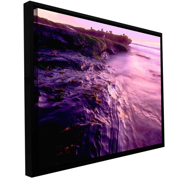 ArtWall Dean Uhlinger 'La Jolla Impression' Floater Framed  Small