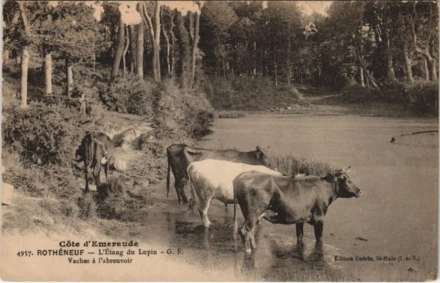 XIX ème siècle / TROUPEAU DE VACHES DANS UN SOUS BOIS / huil XIX ème siècle / TROUPEAU DE VACHES DANS UN SOUS BOIS / huil