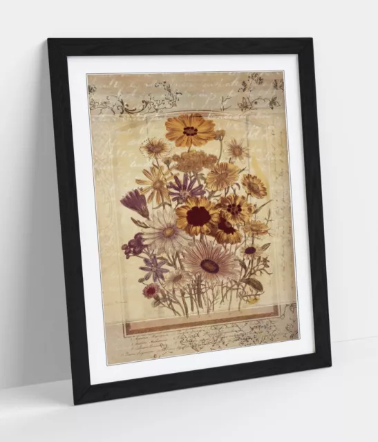 Vintage Botanical Flower Illustrations Home Framed Wall Art Poster Print 4 Sizes