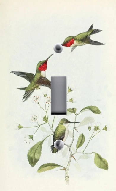 HUMMINGBIRD GREEN LEAVES VINE 2 Light Switch Plate Wall Outlet Covers