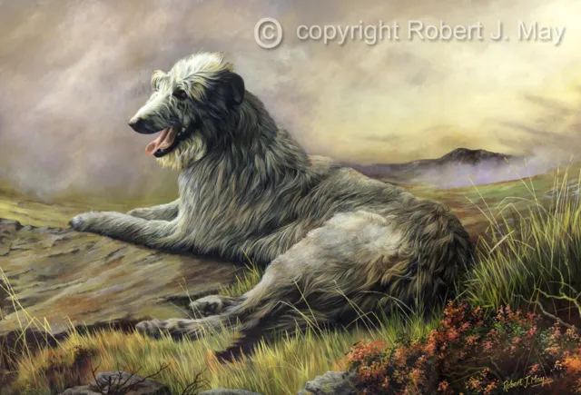 Scottish Deerhound Limited Edition Giclee Print