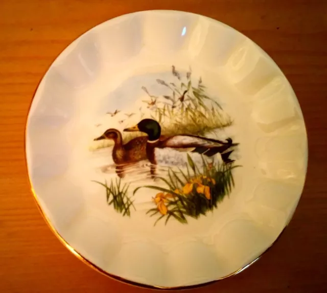 Prinknash Pottery Pin Dish, Wildfowl Series, John Gould, Mallard Ducks