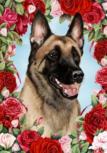 Roses House Flag - Belgian Malinois 19251