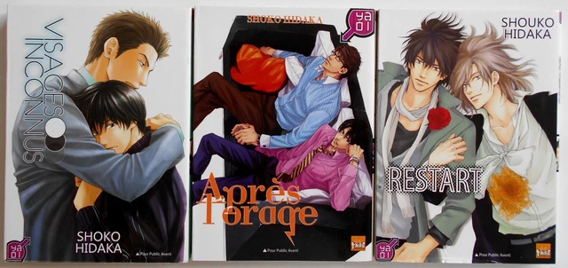 LOT 3 MANGA de SHOKO HIDAKA RESTART VISAGES INCONNUS APRES L'ORAGE VF