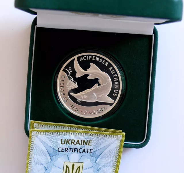 Ukraine 10 Hrywnja 2012 Stör, 1 Oz Silber