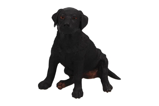 Border fine arts black deals labrador