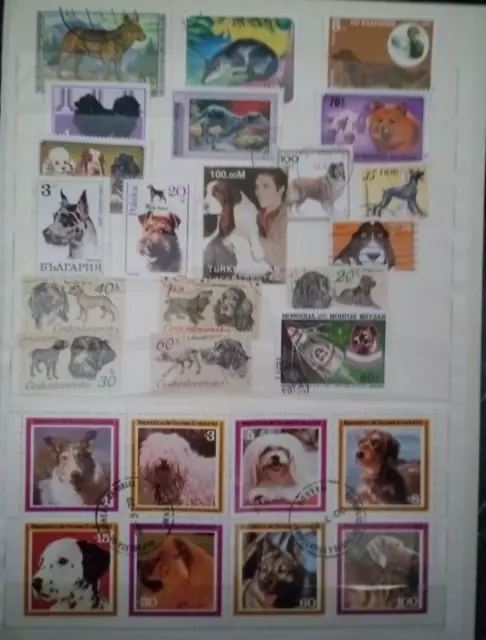 Hunde Dogs Perros  Animals Stamps Sellos Briefmarken Timbres