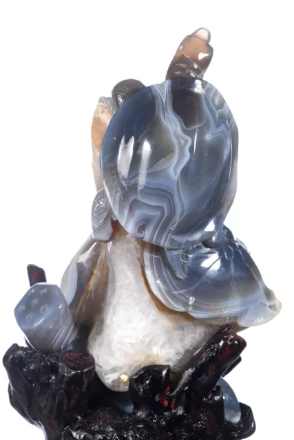 7.28" Natural Geode Agate Turtle Couple Mascot Carving Reiki Decor Gift# AY80 2