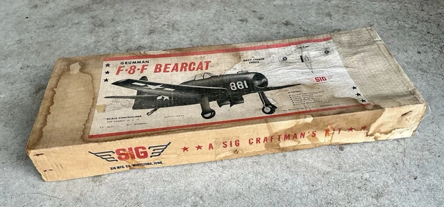 NAKAJIMA KI-49 \"HELEN\" 1/48 VAC FORMキット Aggregation-Induced Emission Luminogen: Role in Biopsy for