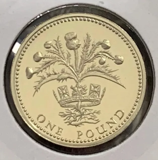 1989 Proof £1 Coin One Pound  Unc Bunc Bu  GB UK Royal Mint