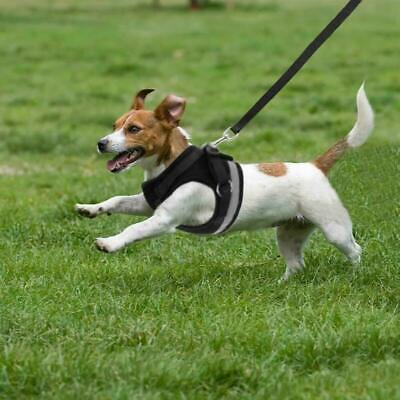 Imbracatura per Cani in Nylon maglia Cucciolo morbido riflettente Guinzaglio da Passeggio Piombo Gilet Set UK 3