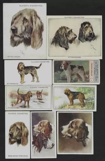 9 Different Vintage OTTERHOUND Tobacco/Cigarette/Tea Dog Cards Lot